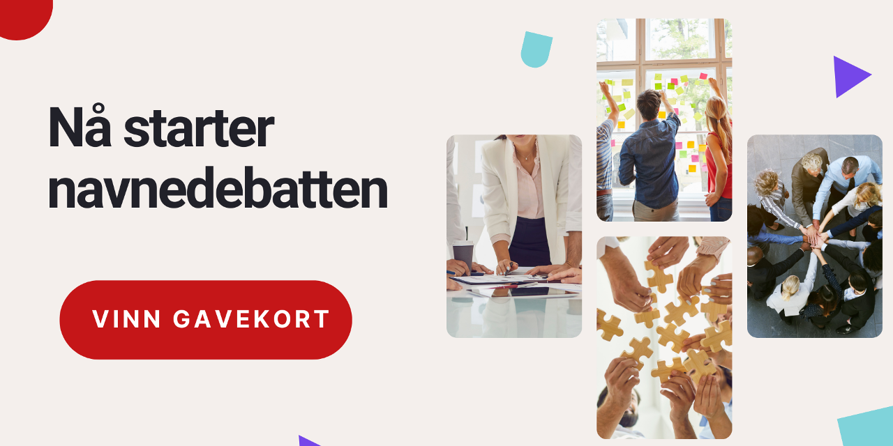 Skal vi fortsatt hete Norsk Tjenestemannslag, eller finne et navn som bedre speiler hvem vi er i dag – og i framtida?